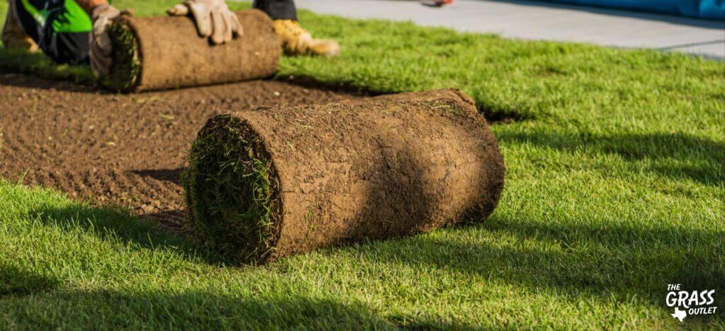 Sod Installation